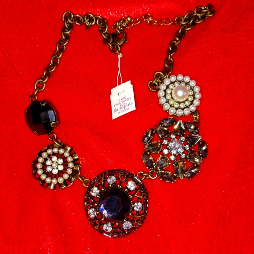 Lia Sophia curio necklace